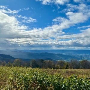 Meet your Posher, Luxlounge